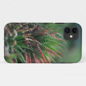 Coque-Mate Tough Apple iPhone 11 Coque (Dos (Horizontal))