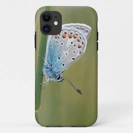 Coque-Mate Tough Apple iPhone 11 Coque (Dos)
