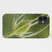 Coque-Mate Tough Apple iPhone 11 Coque (Dos (Horizontal))