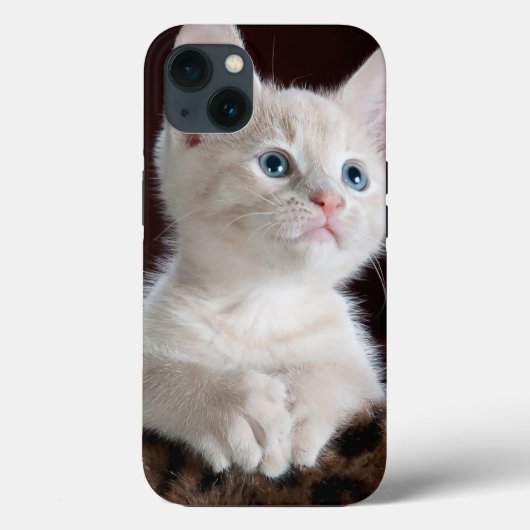 Coque-Mate Tough Apple iPhone 13 Coque (Verso)