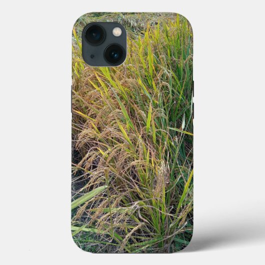 Coque-Mate Tough Apple iPhone 13 Coque (Verso)