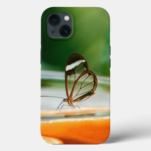 Coque-Mate Tough Apple iPhone 13 Coque (Verso)