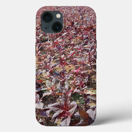 Coque-Mate Tough Apple iPhone 13 Coque (Verso)