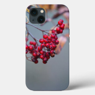 Coque-Mate Tough Apple iPhone 13 Coque