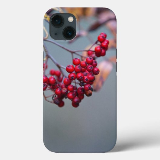 Coque-Mate Tough Apple iPhone 13 Coque (Verso)