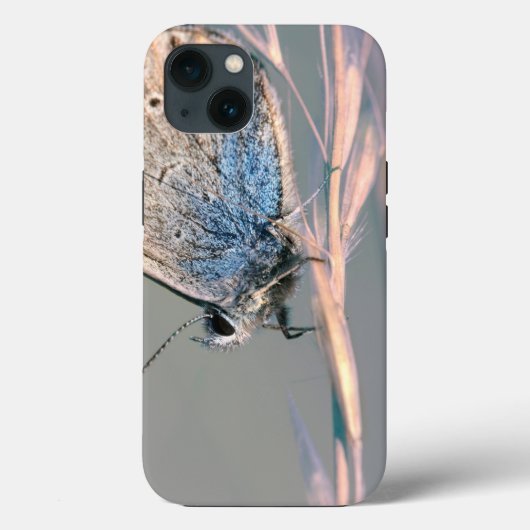Coque-Mate Tough Apple iPhone 13 Coque (Verso)