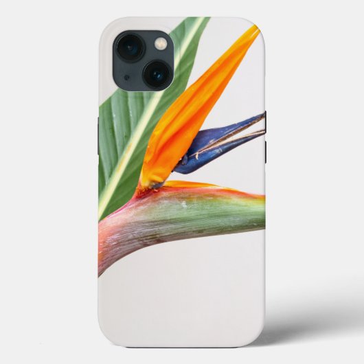 Coque-Mate Tough Apple iPhone 13 Coque (Verso)