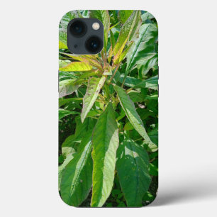 Coque-Mate Tough Apple iPhone 13 Coque