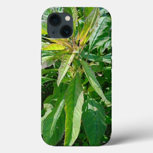 Coque-Mate Tough Apple iPhone 13 Coque (Verso)