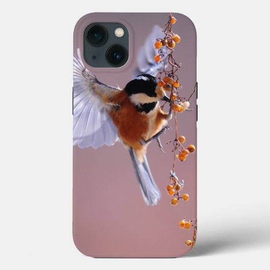 Coque-Mate Tough Apple iPhone 13 Coque (Verso)