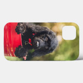 Coque-Mate Tough Apple iPhone 13 Coque (Verso (horizontal))