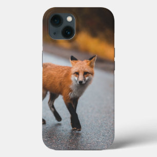 Coque-Mate Tough Apple iPhone 13 Coque
