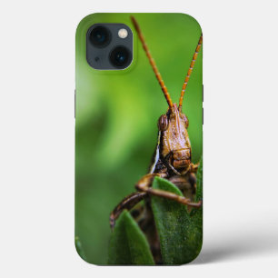 Coque-Mate Tough Apple iPhone 13 Coque