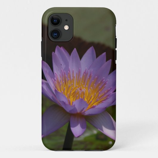 Coque Nénuphar Lotus Violet-coque iphone Mate (Dos)