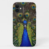Coque Peacock iPhone5 (Dos)
