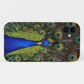 Coque Peacock iPhone5 (Dos (Horizontal))