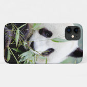 Coque Photo géant panda, panda gant, animaux. (Dos (Horizontal))