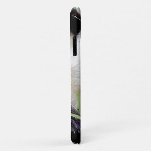 Coque Photo géant panda, panda geant , animaux. (Dos/Droite)