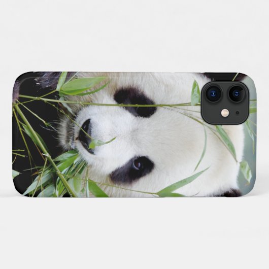 Coque Photo géant panda, panda geant , animaux. (Dos (Horizontal))