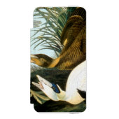 Coque Portefeuille Incipio Pour iPhone Audubon : Canard d'Eider (Folio Devant)