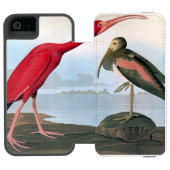 Coque Portefeuille Incipio Pour iPhone Audubon : Écarlate IBIS (Folio Ouvert)