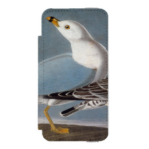 Coque-portefeuille iPhone 5 Incipio Watson™ Audubon : Mouette Anneau-Affichée