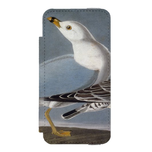 Coque Portefeuille Incipio Pour iPhone Audubon : Mouette Anneau-Affichée (Folio Devant)