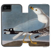 Coque Portefeuille Incipio Pour iPhone Audubon : Mouette Anneau-Affichée (Folio Ouvert)