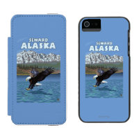 Eagle chauve plongeant - Seward, Alaska