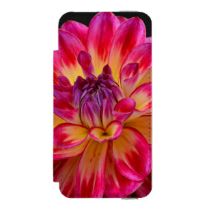 Coque-portefeuille iPhone 5 Incipio Watson™ Fleur de dahlia rose et jaune