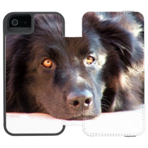 Coque-portefeuille iPhone 5 Incipio Watson™ newfoundland-3