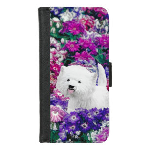 Coque Portefeuille Pour iPhone 8/7 West Highland White Terrier Peinture Dog Art