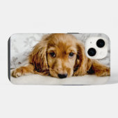 Coque Pour iPhone 14 Animaux Bébés les Plus Mignons | Chiot Cocker Span (Verso Horizontal)