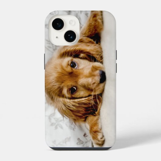 Coque Pour iPhone 14 Animaux Bébés les Plus Mignons | Chiot Cocker Span (Verso)