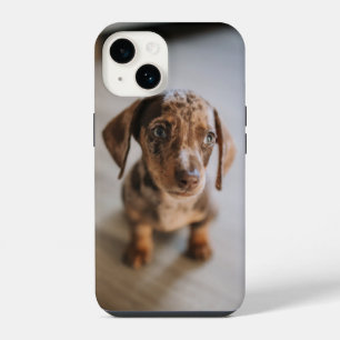 Coque Pour iPhone 14 Animaux Bébés les Plus Mignons Chiot Teckel Brun