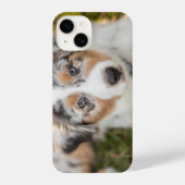 Coque Pour iPhone 14 Animaux de bébés cutest | Australian Shepherd Pupp (Verso)