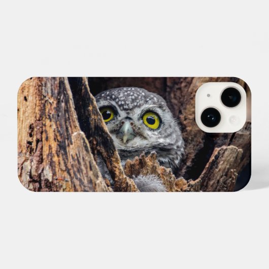 Coque Pour iPhone 14 Animaux de bébés cutest | Chouette tachetée (Verso Horizontal)