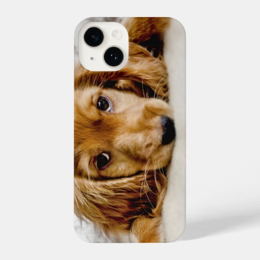 Coque Pour iPhone 14 Animaux de bébés cutest | Cocker Spaniel (Verso)