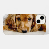 Coque Pour iPhone 14 Animaux de bébés cutest | Cocker Spaniel (Verso Horizontal)
