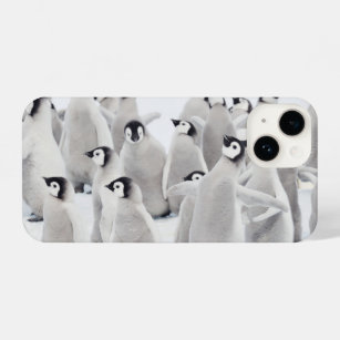 Coque Pour iPhone 14 Animaux de bébés cutest   Empereur Penguin Chicks