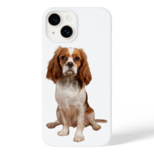 Apple iPhone 14 coque avec King Charles Cavalier