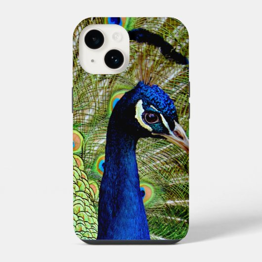 Coque Pour iPhone 14 Beau Bleu Vert Peacock Oiseau Joli (Verso)