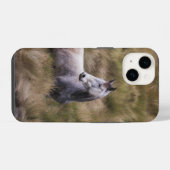 Coque Pour iPhone 14 Beau cheval de couleur grise (Verso Horizontal)