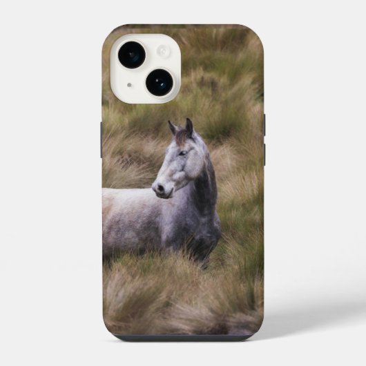 Coque Pour iPhone 14 Beau cheval de couleur grise (Verso)