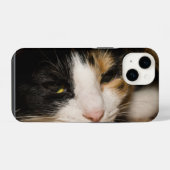 Coque Pour iPhone 14 Calico Face (Verso Horizontal)