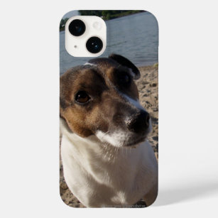 Coque Pour iPhone 14 Capo von Oppenheim Jack Russell Terrier, Chien