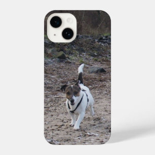 Coque Pour iPhone 14 Capo von Oppenheim, Jack Russell Terrier Chien