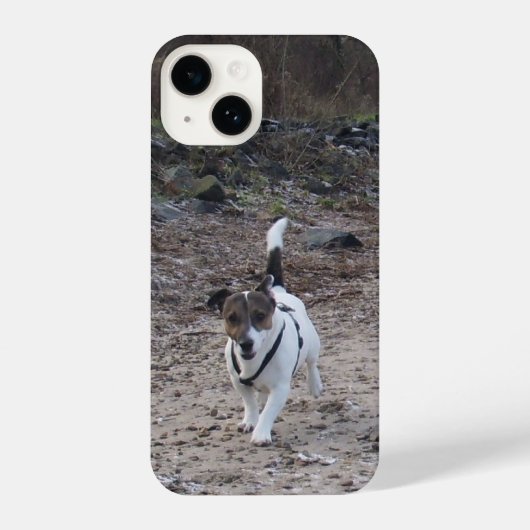 Coque Pour iPhone 14 Capo von Oppenheim, Jack Russell Terrier Chien (Verso)
