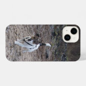 Coque Pour iPhone 14 Capo von Oppenheim, Jack Russell Terrier Chien (Verso Horizontal)