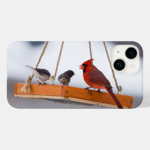 Coque Pour iPhone 14 Cardinal et coque iphone de Juncos